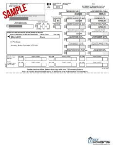 resources-T4-Sample T4 or T4A Sample